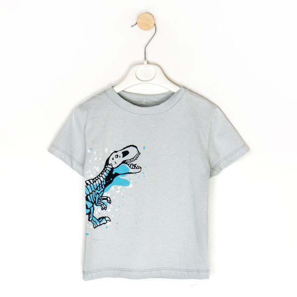 Комплект для хлопчика футболка та шорти T-Rex 98 розмір 13110831883 фото